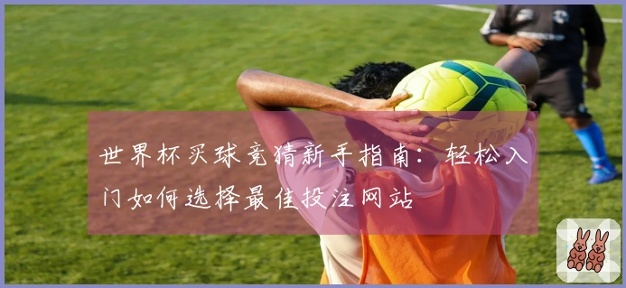 世界杯买球竞猜新手指南：轻松入门如何选择最佳投注网站