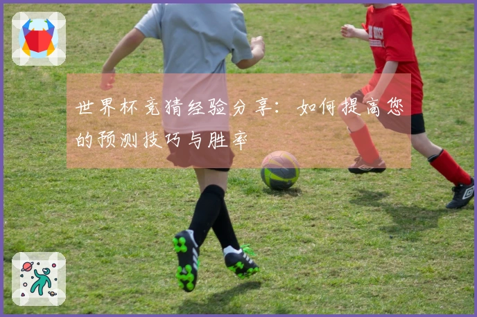 世界杯竞猜经验分享：如何提高您的预测技巧与胜率