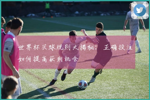 世界杯买球规则大揭秘：正确投注如何提高获利机会
