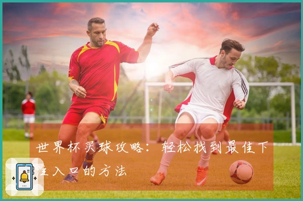 世界杯买球攻略：轻松找到最佳下注入口的方法