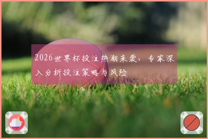 2026世界杯投注热潮来袭，专家深入分析投注策略与风险