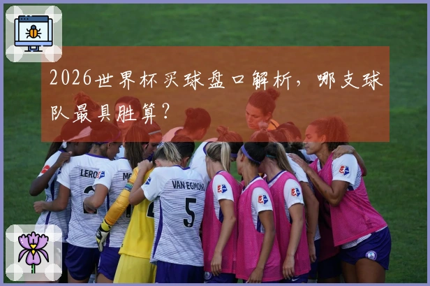 2026世界杯买球盘口解析，哪支球队最具胜算？
